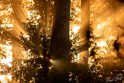 Photo de rayons du soleil à travers la brume