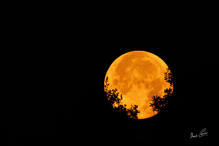 Photo de coucher de lune