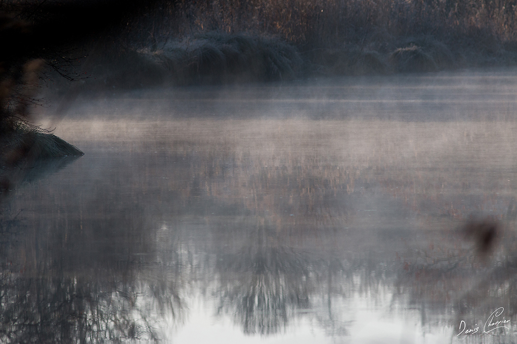 Rivière l'Essonne baignée de brume matinale