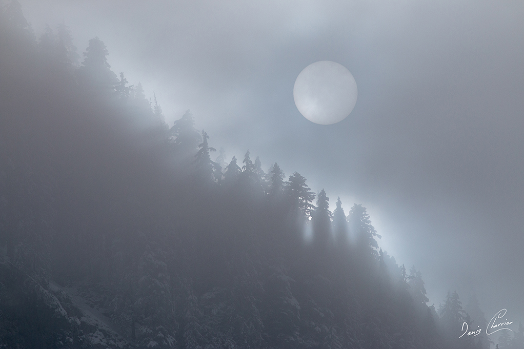 Soleil derrière la brume en montagne