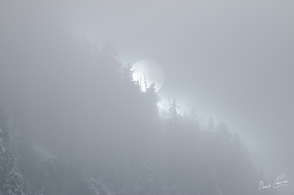 Soleil derrière la brume en montagne