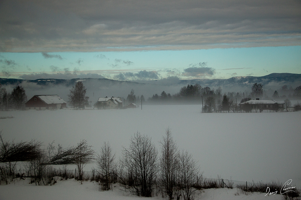 Plaine enneigé de Norvège avec brume rasante