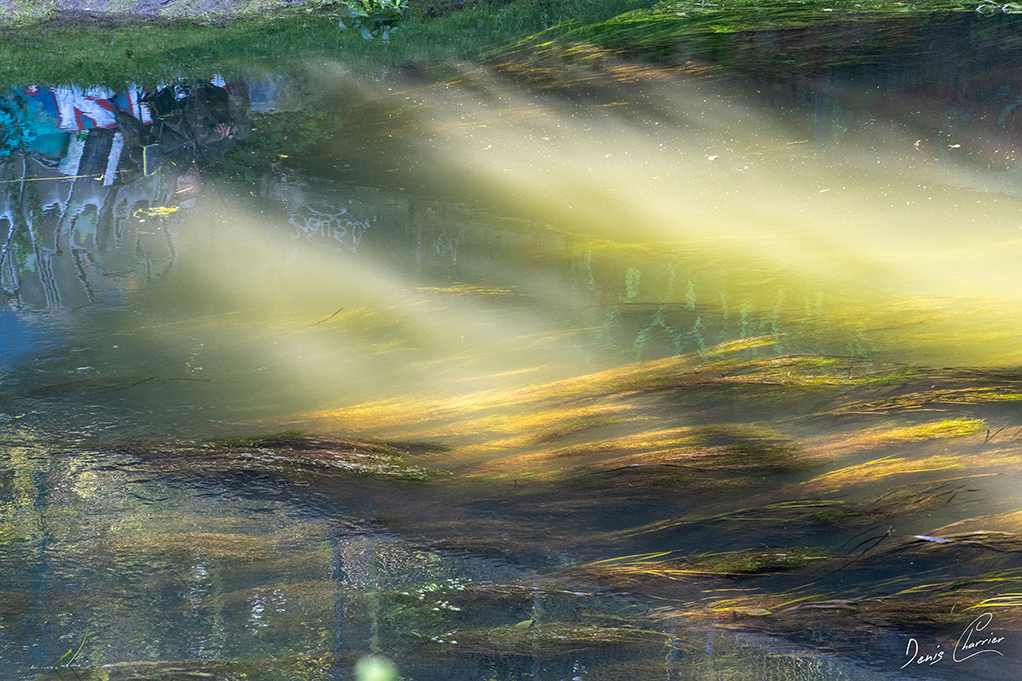 Reflets dans la rivière de l'Epte