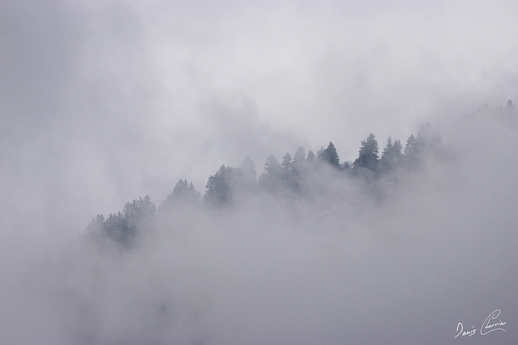 Nuages bas accrochés à la cime d'une montagne
