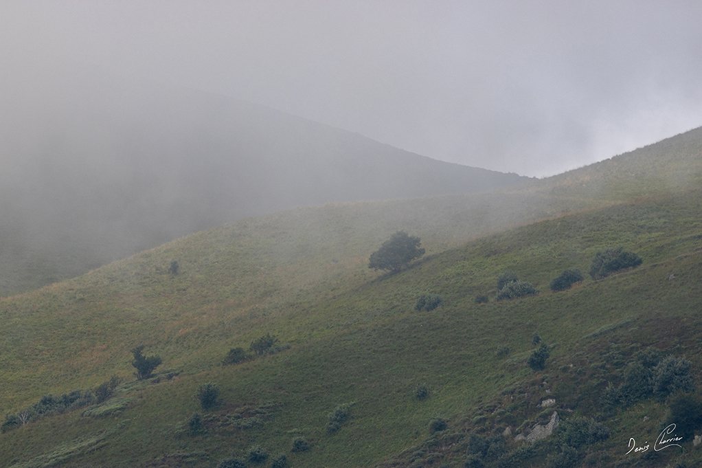 Réserve naturel de la Vallée de Chaudefour dans la brume