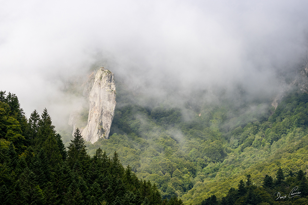 Aiguille dans la réserve naturel de la Vallée de Chaudefour dans la brume