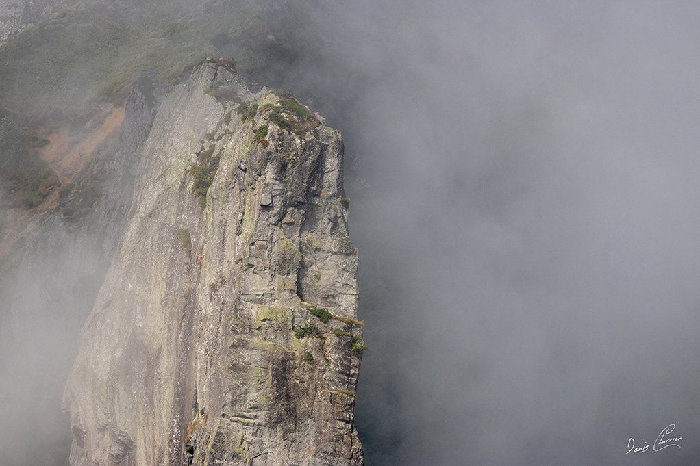 Aiguille dans la réserve naturel de la Vallée de Chaudefour dans la brume