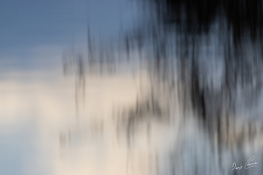 Reflets d'arbres dans la rivière Essonne