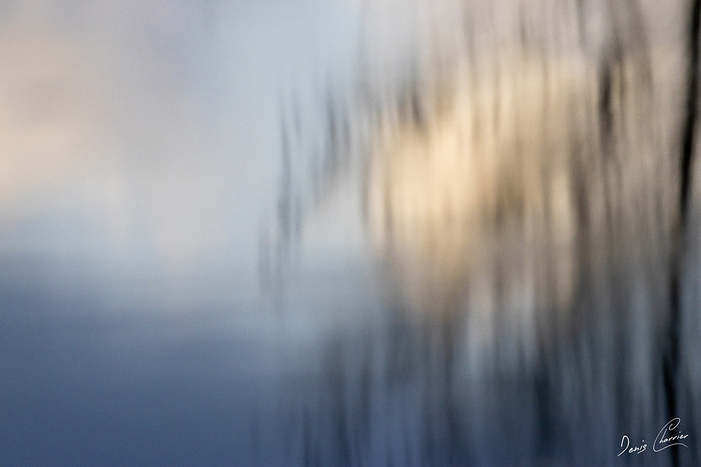 Reflets d'arbres dans la rivière Essonne