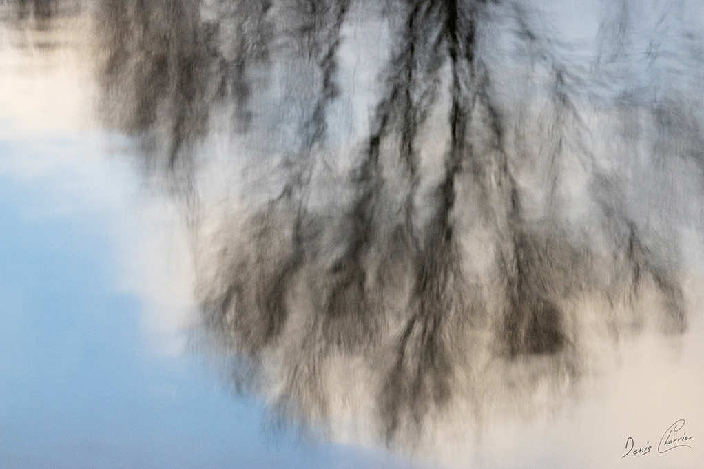 Reflets d'arbres dans la rivière Essonne