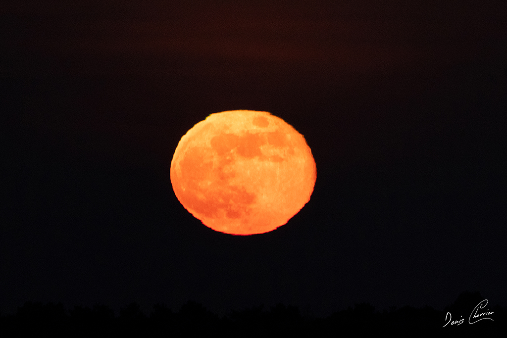 Lever de la lune rousse janvier 2025