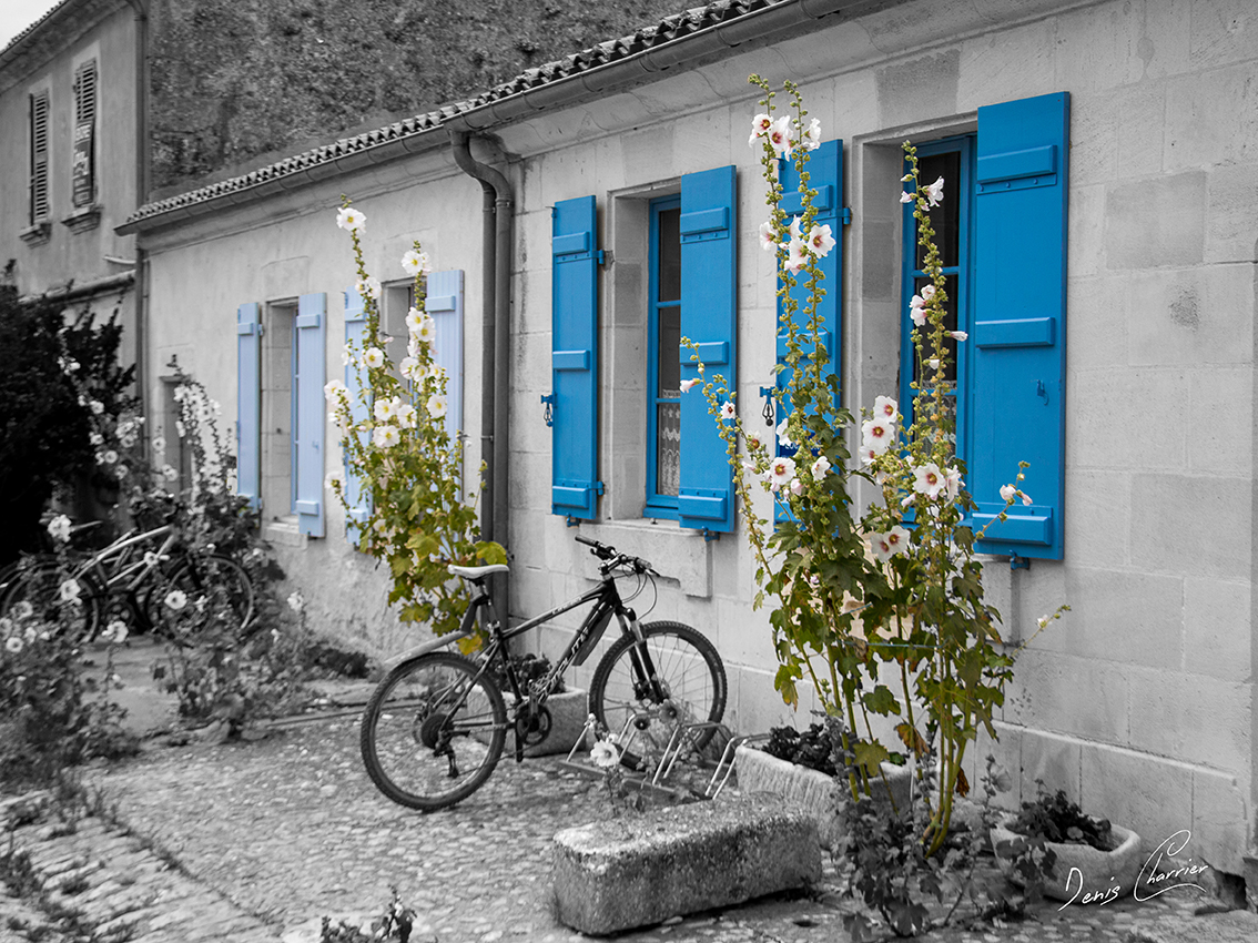 Maison sur l'île de Ré avec des volets bleus