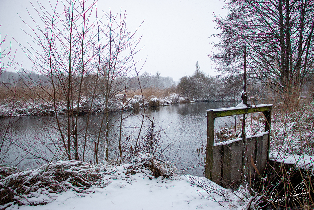 Rivière l'Essonne sous la neige