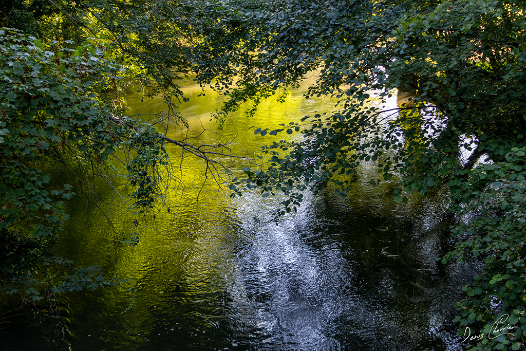 Reflets dans la rivière de l'Epte