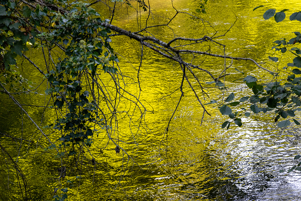 Reflets dans la rivière de l'Epte