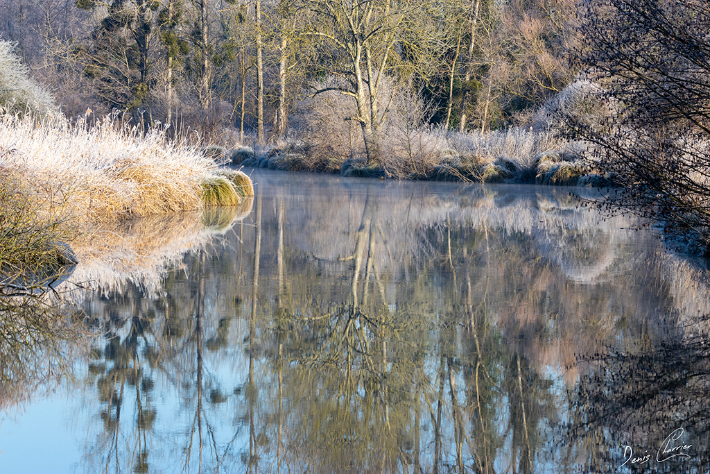 Rivière de l'Essonne avec du givre sur la végétation des berges