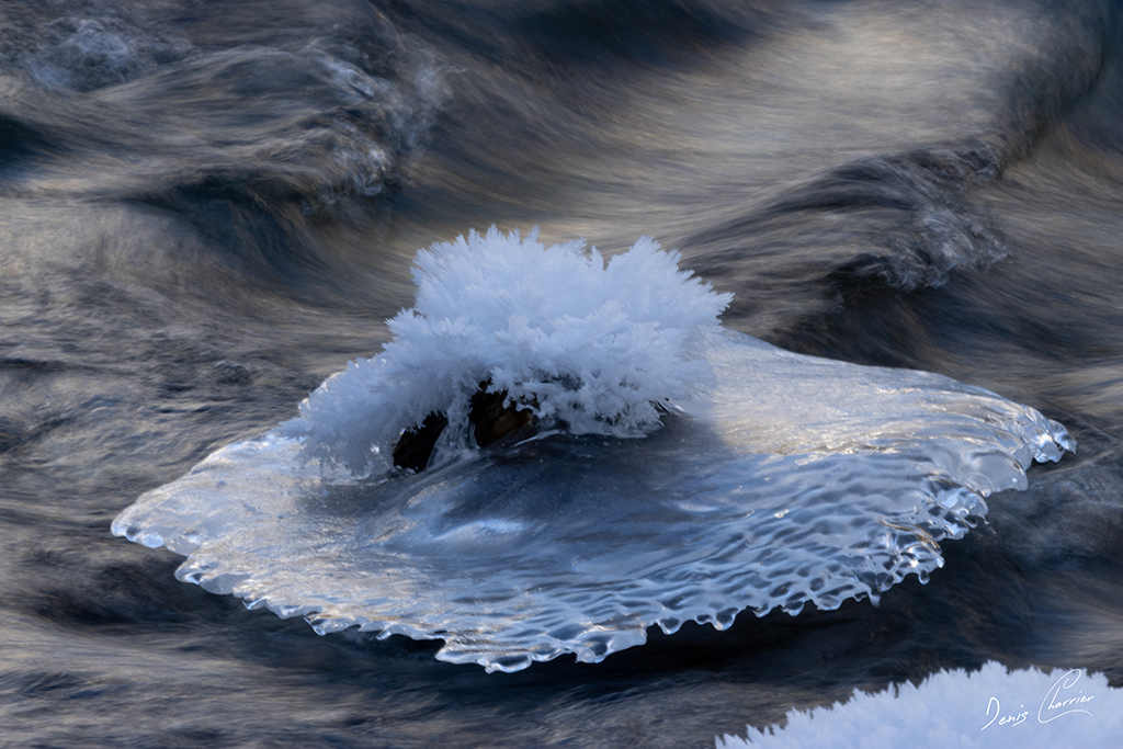 Formation de givre et de galce dans un ruisseau