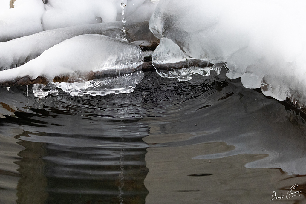 Formation de galce dans une fontaine