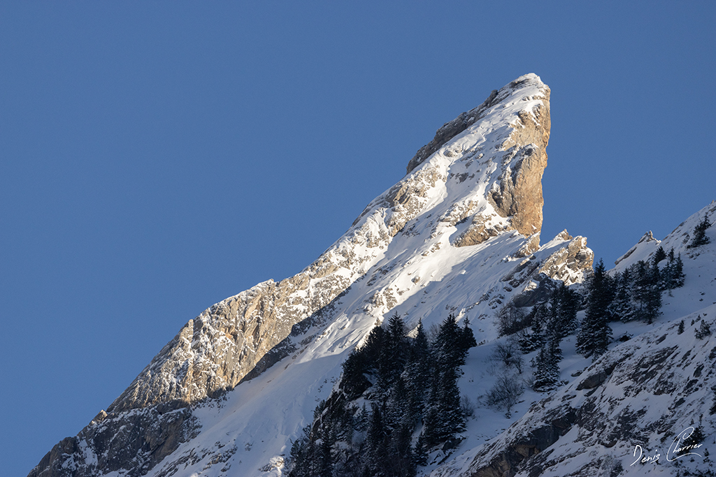 Aiguille du grand Arcelin vue de Pralognan la Vanoise