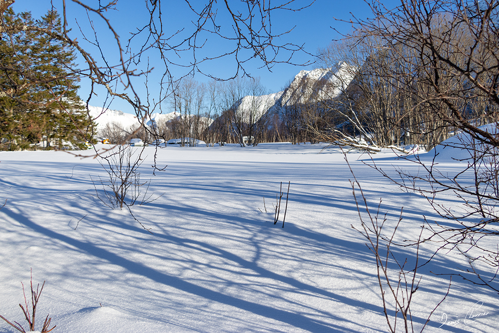 Paysage enneigé de Norvège