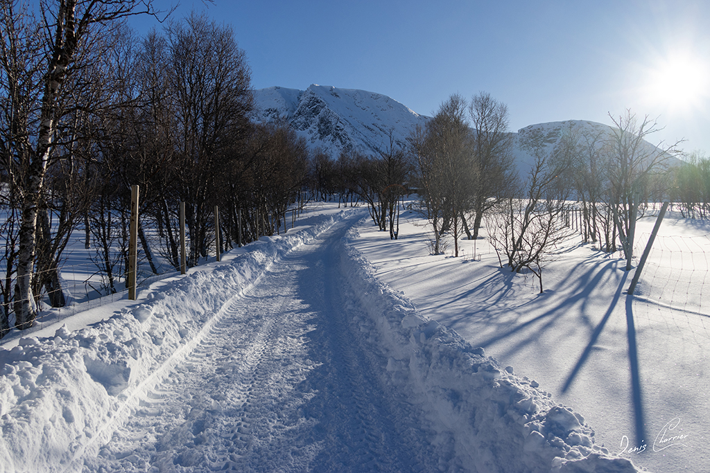 Paysage enneigé de Norvège