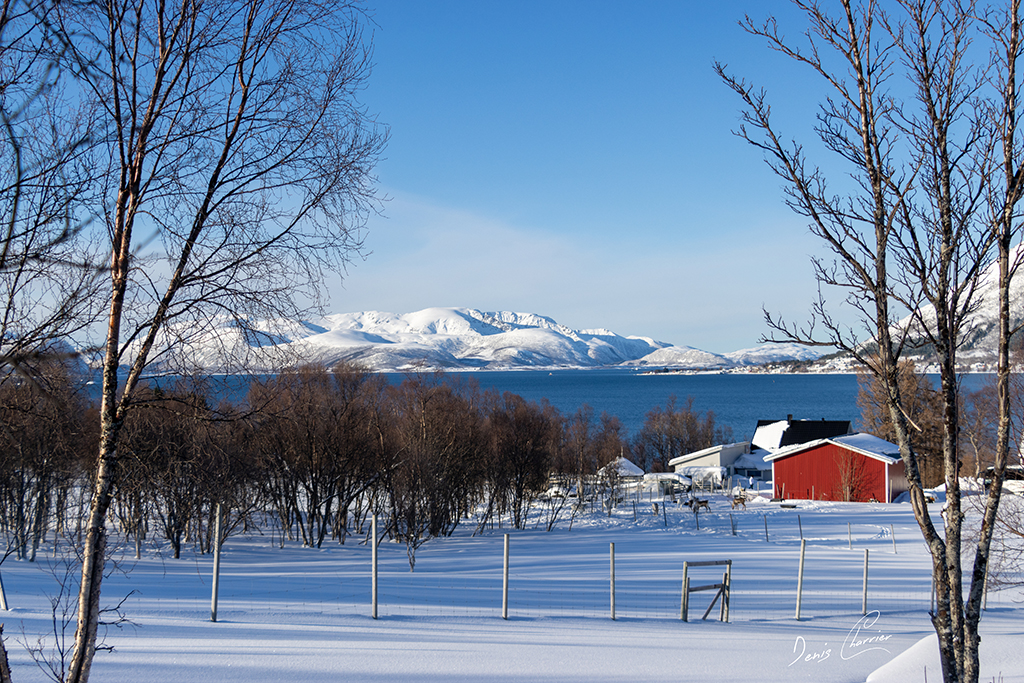 Paysage enneigé de Norvège