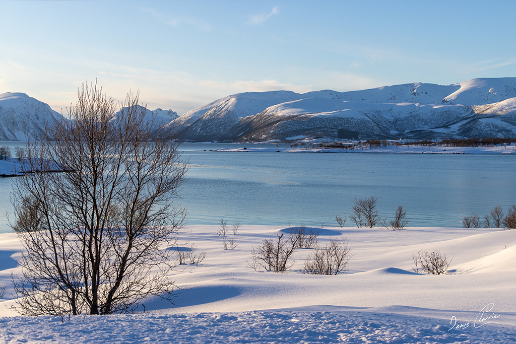 Paysage enneigé de Norvège