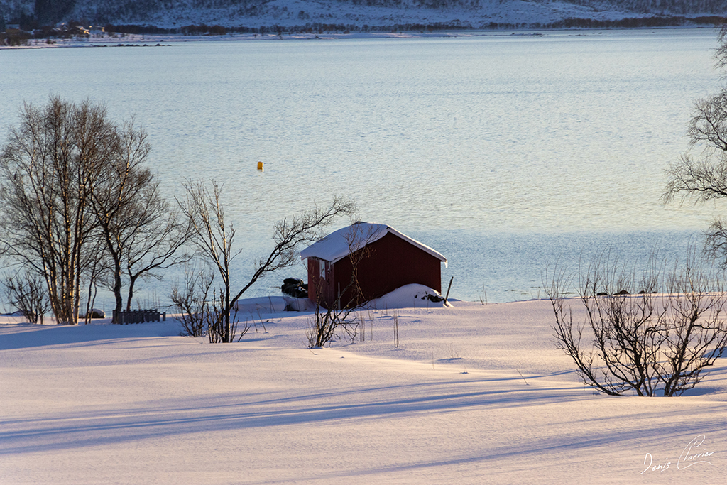 Paysage enneigé de Norvège