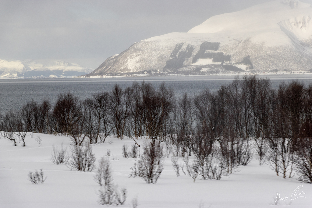 Paysage enneigé de Norvège