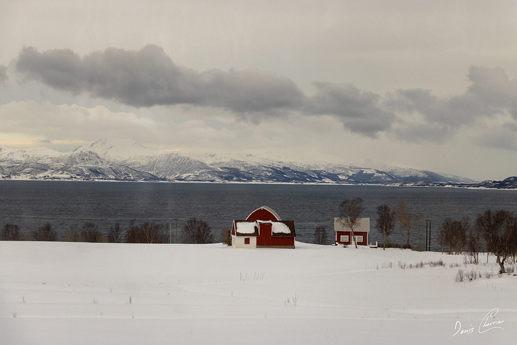 Paysage enneigé de Norvège