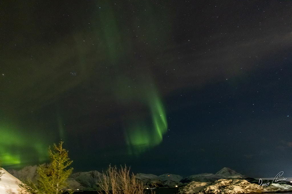 Aurore boréale Norvège
