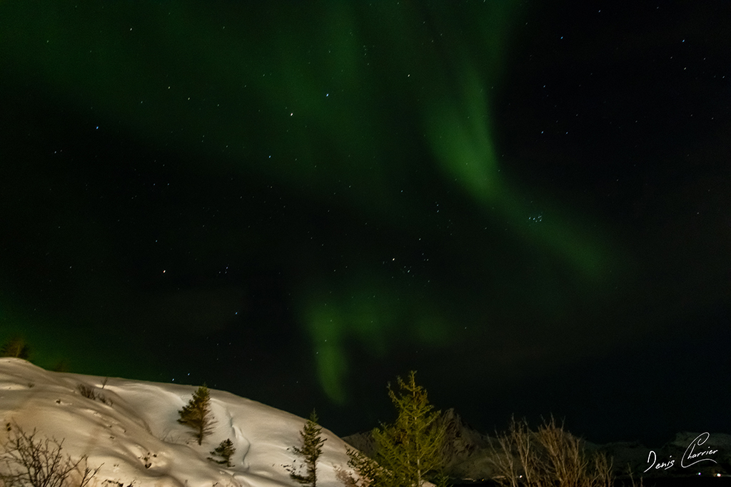 Aurore boréale Norvège