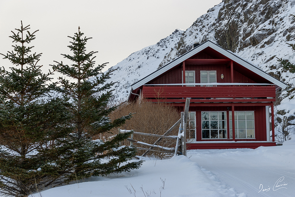 Paysage enneigé de Norvège