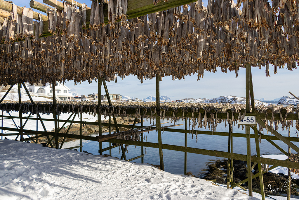 Paysage enneigé de Norvège
